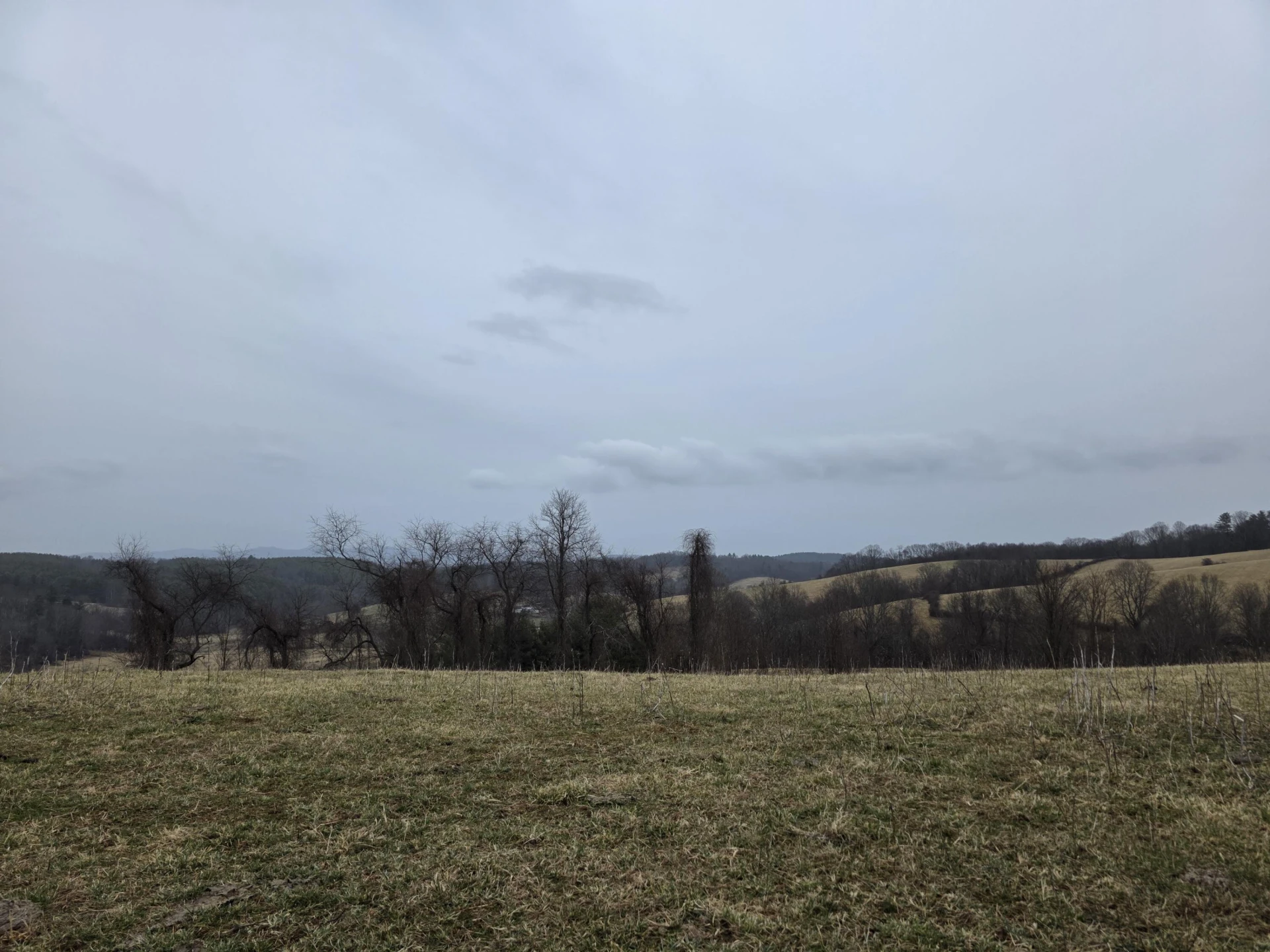 954 Island Creek DR - Photo 15