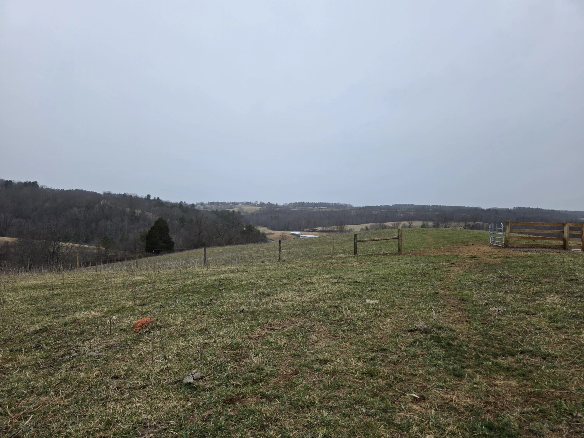 954 Island Creek DR - Photo 18