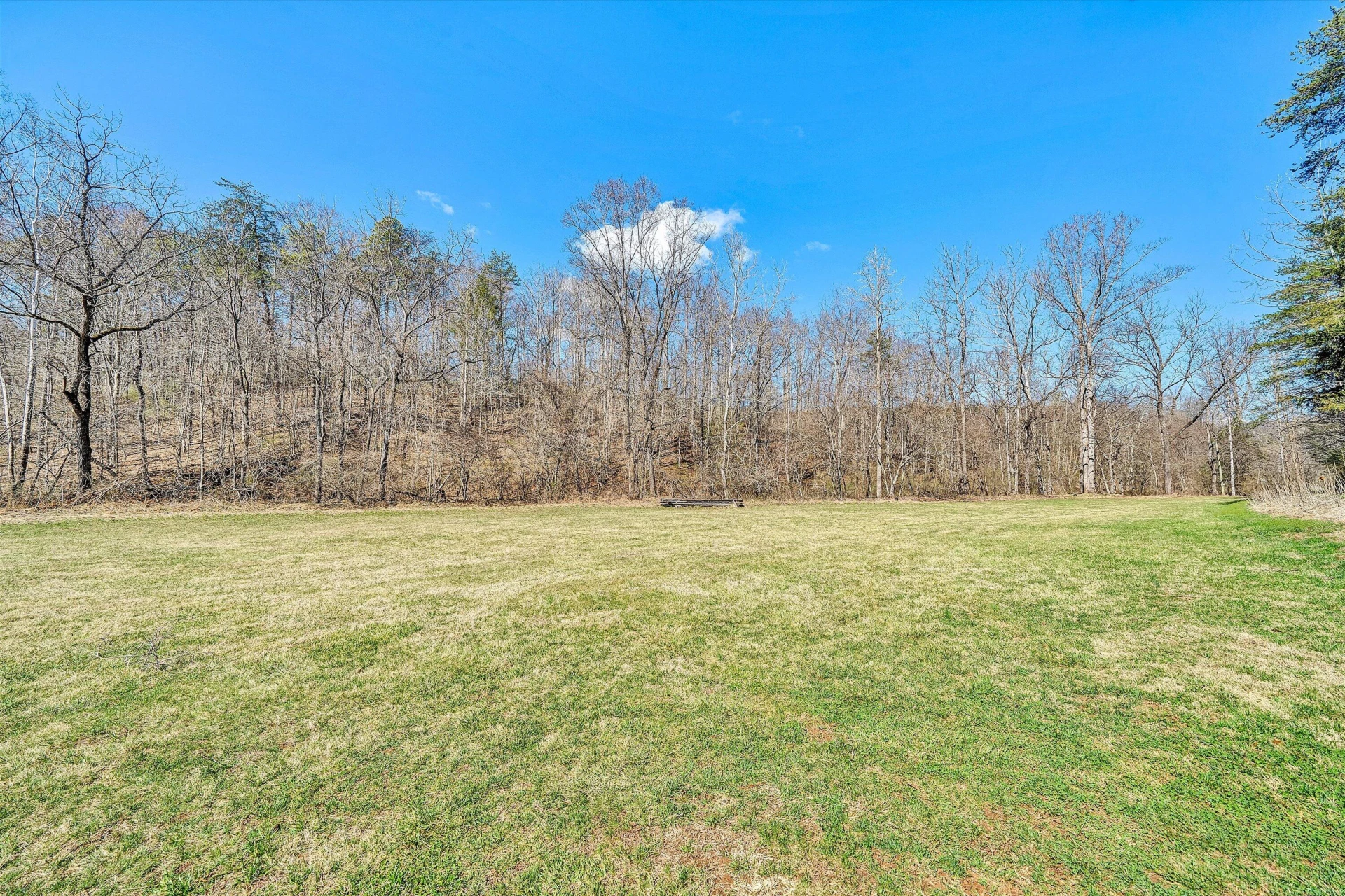 1164 DRY HILL RD - Photo 69