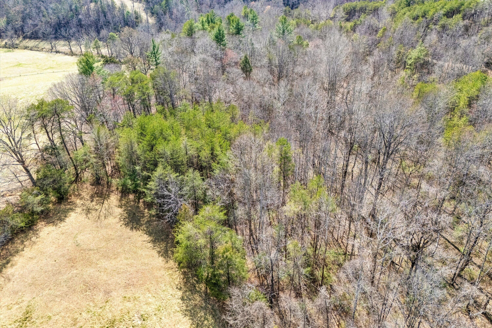 1164 DRY HILL RD - Photo 71