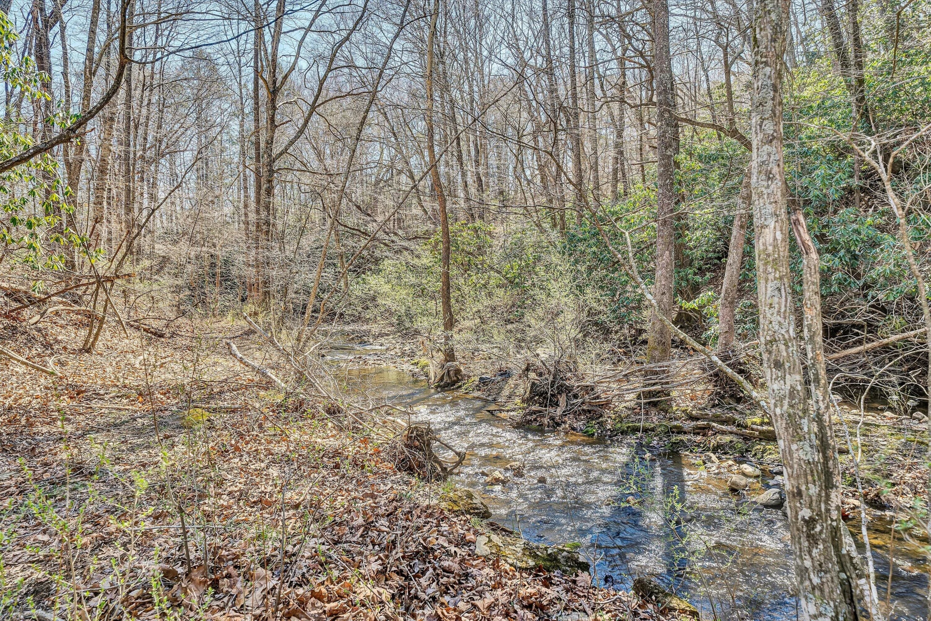 1164 DRY HILL RD - Photo 76