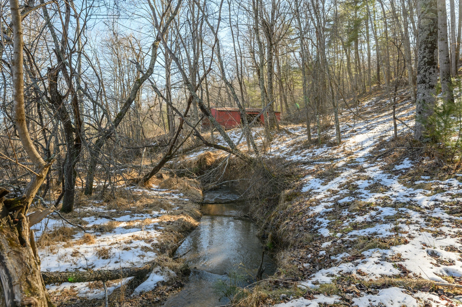 183 Willow Brook LN NE - Photo 86