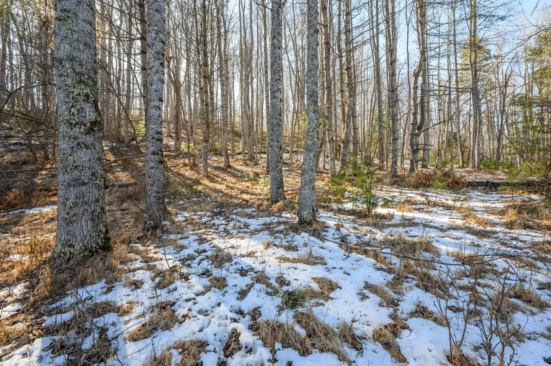 183 Willow Brook LN NE - Photo 87