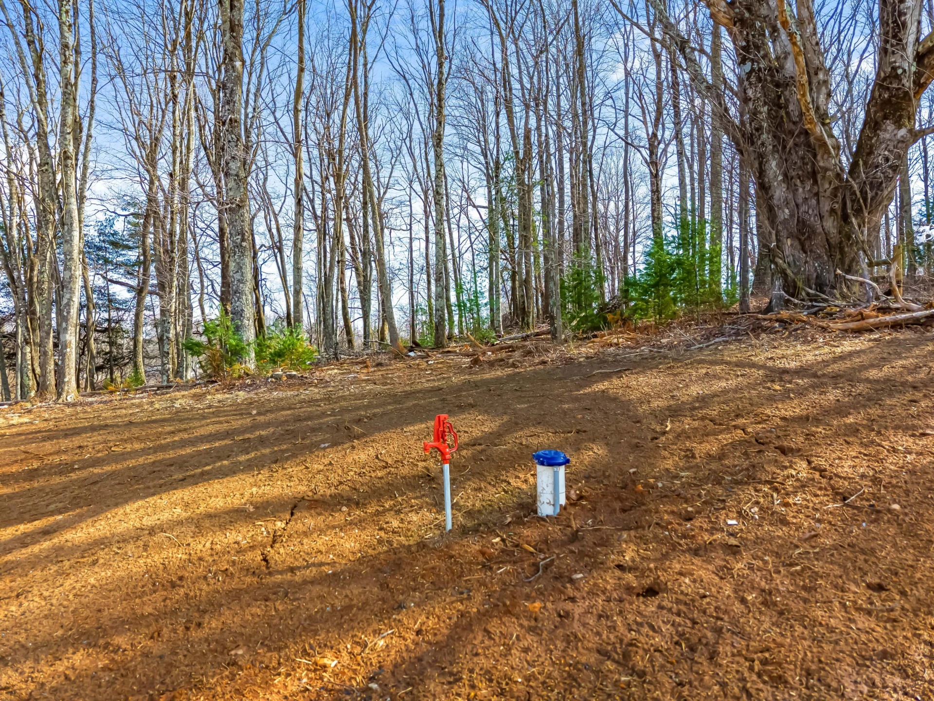 1047 Barberry RD SE - Photo 47