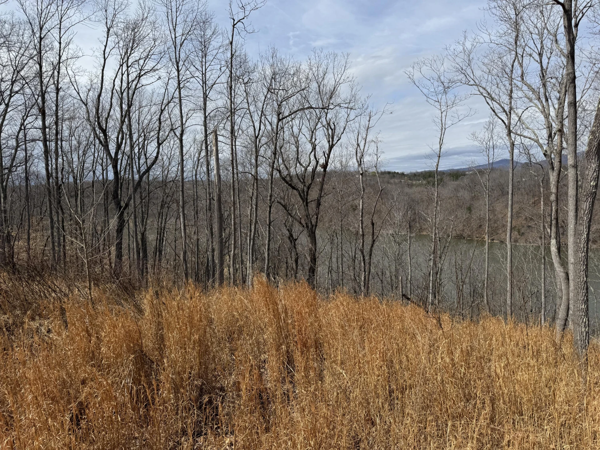 LOT 47 Pearl DR - Photo 23