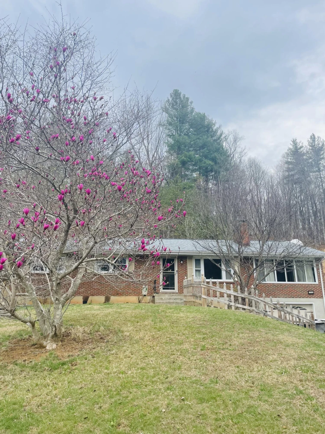 7592 Willow Branch RD