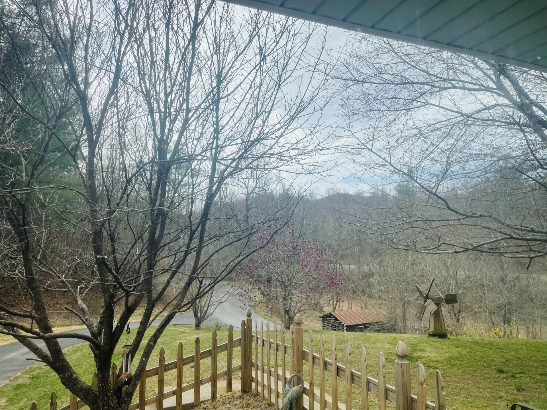 7592 Willow Branch RD - Photo 19