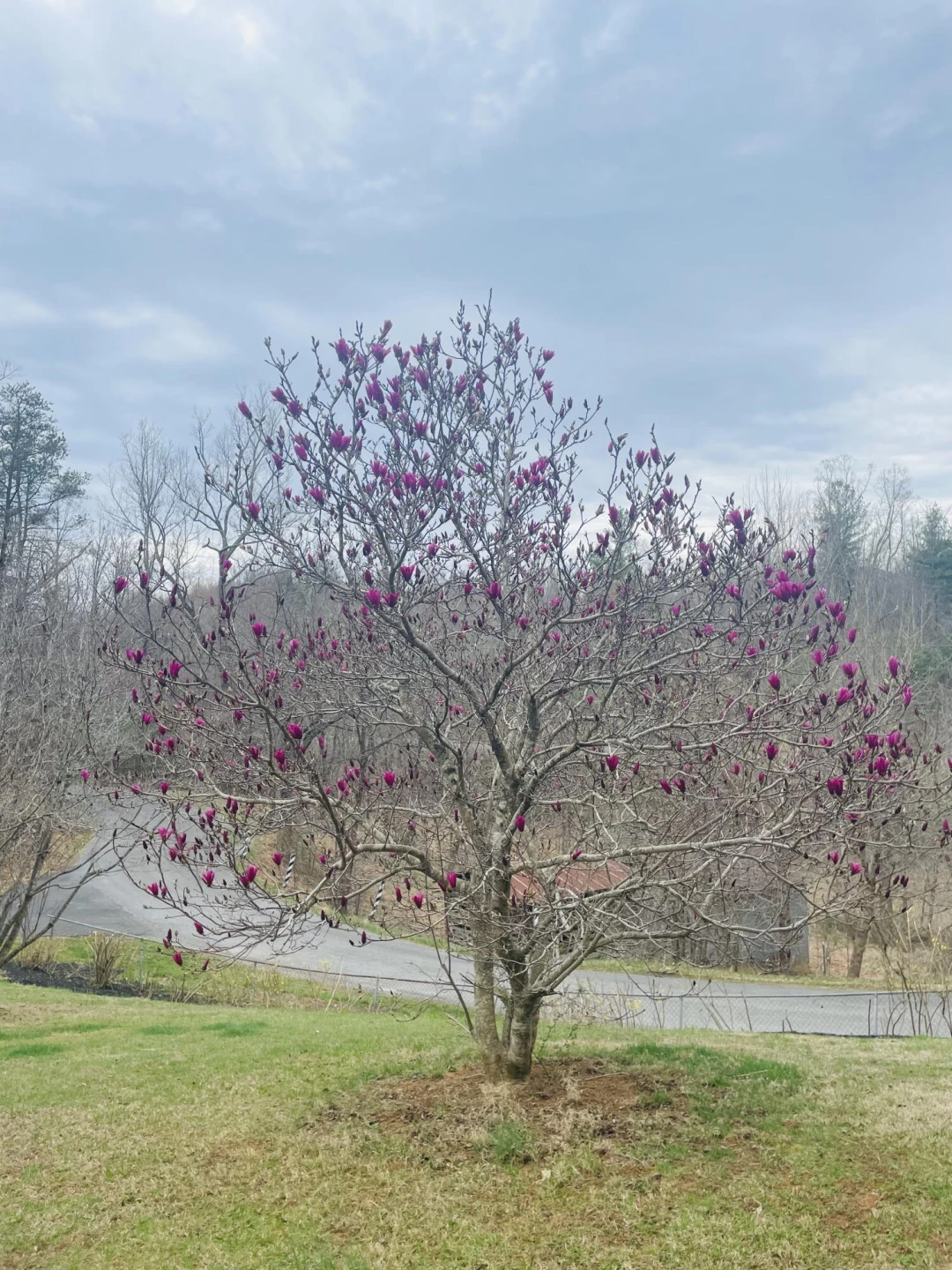 7592 Willow Branch RD - Photo 26