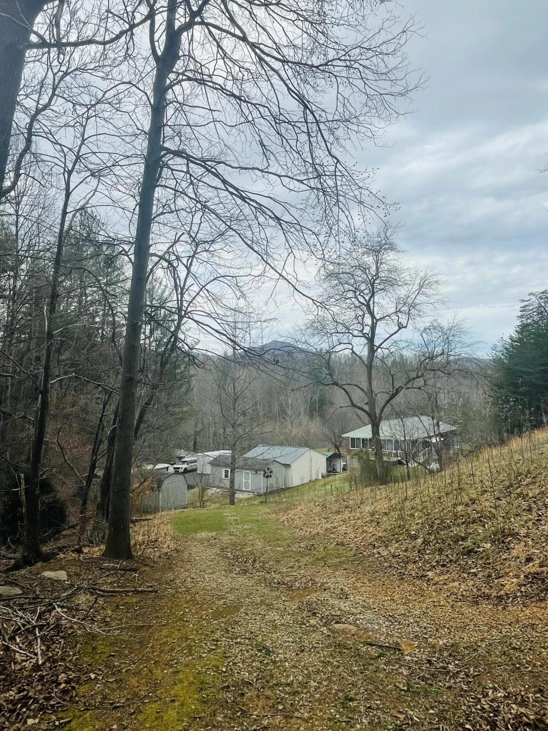 7592 Willow Branch RD - Photo 32