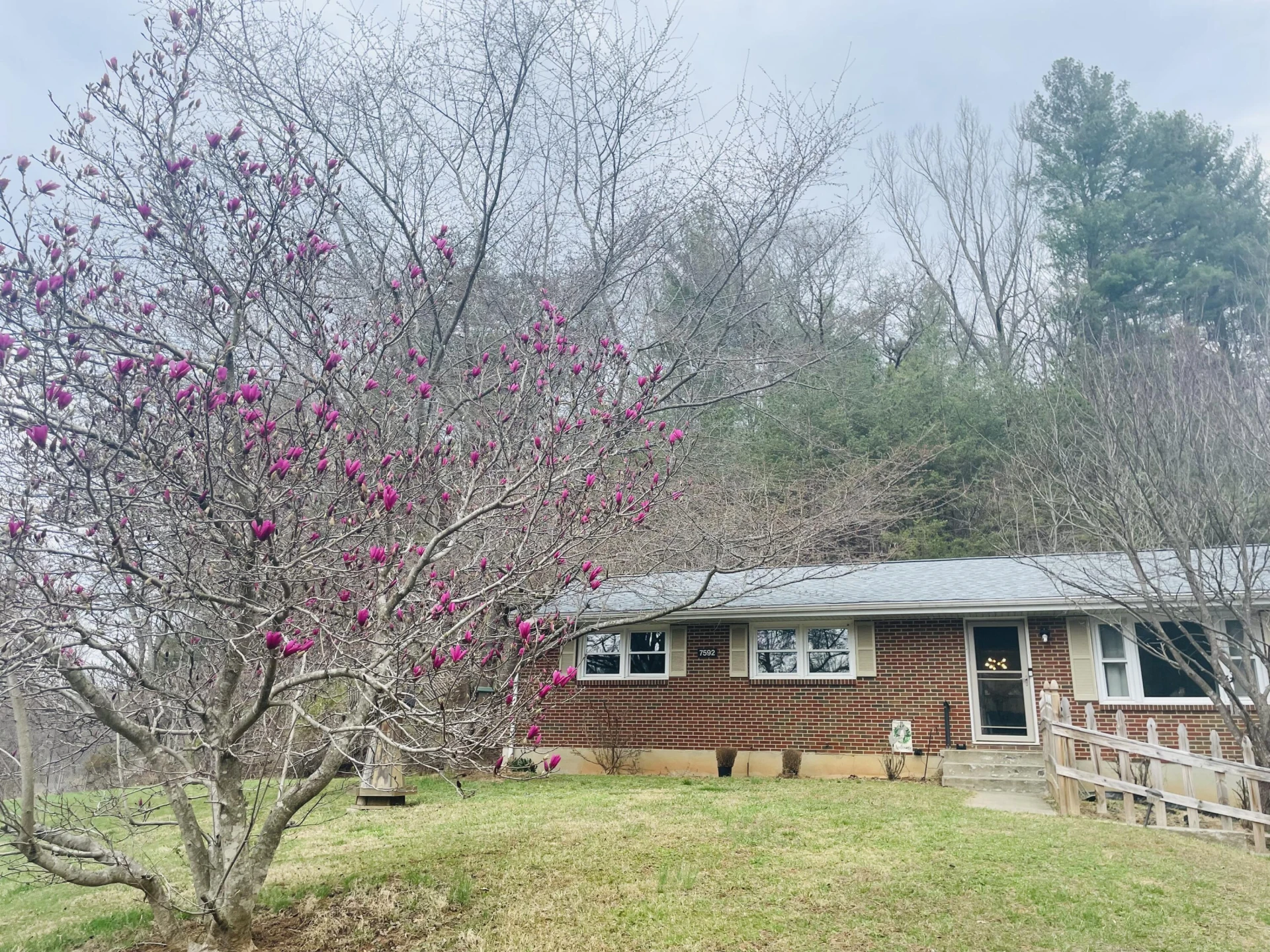 7592 Willow Branch RD - Photo 40