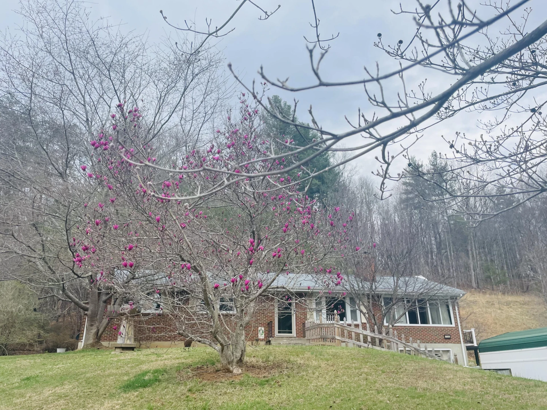 7592 Willow Branch RD - Photo 41
