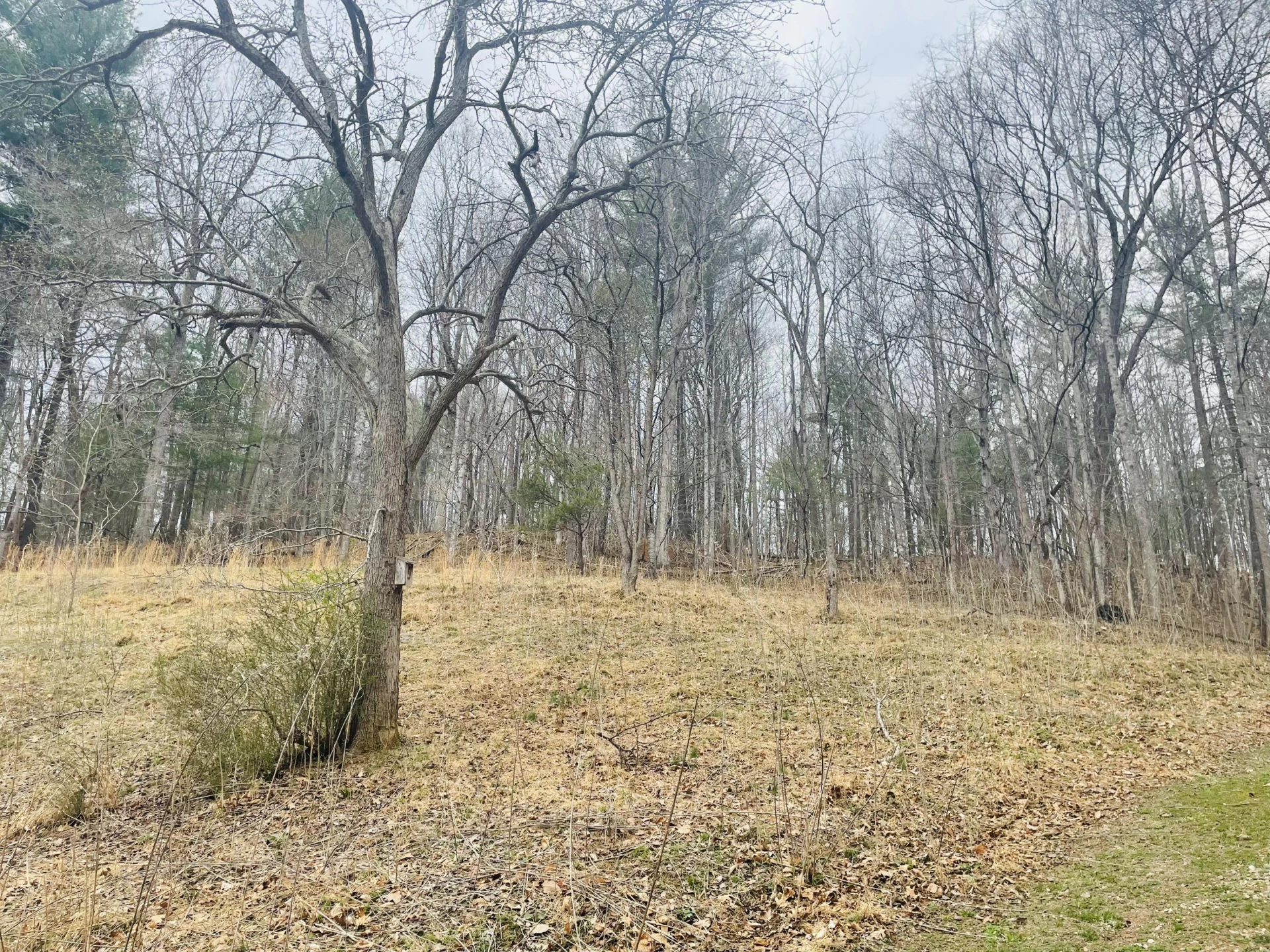 7592 Willow Branch RD - Photo 42