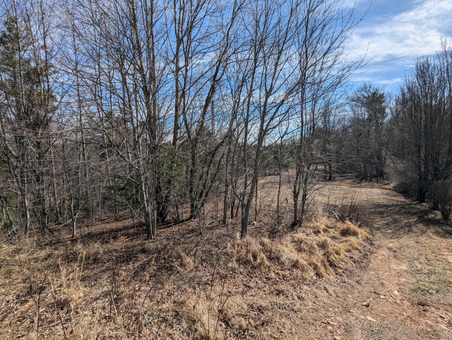TBD Continental DR - Photo 10