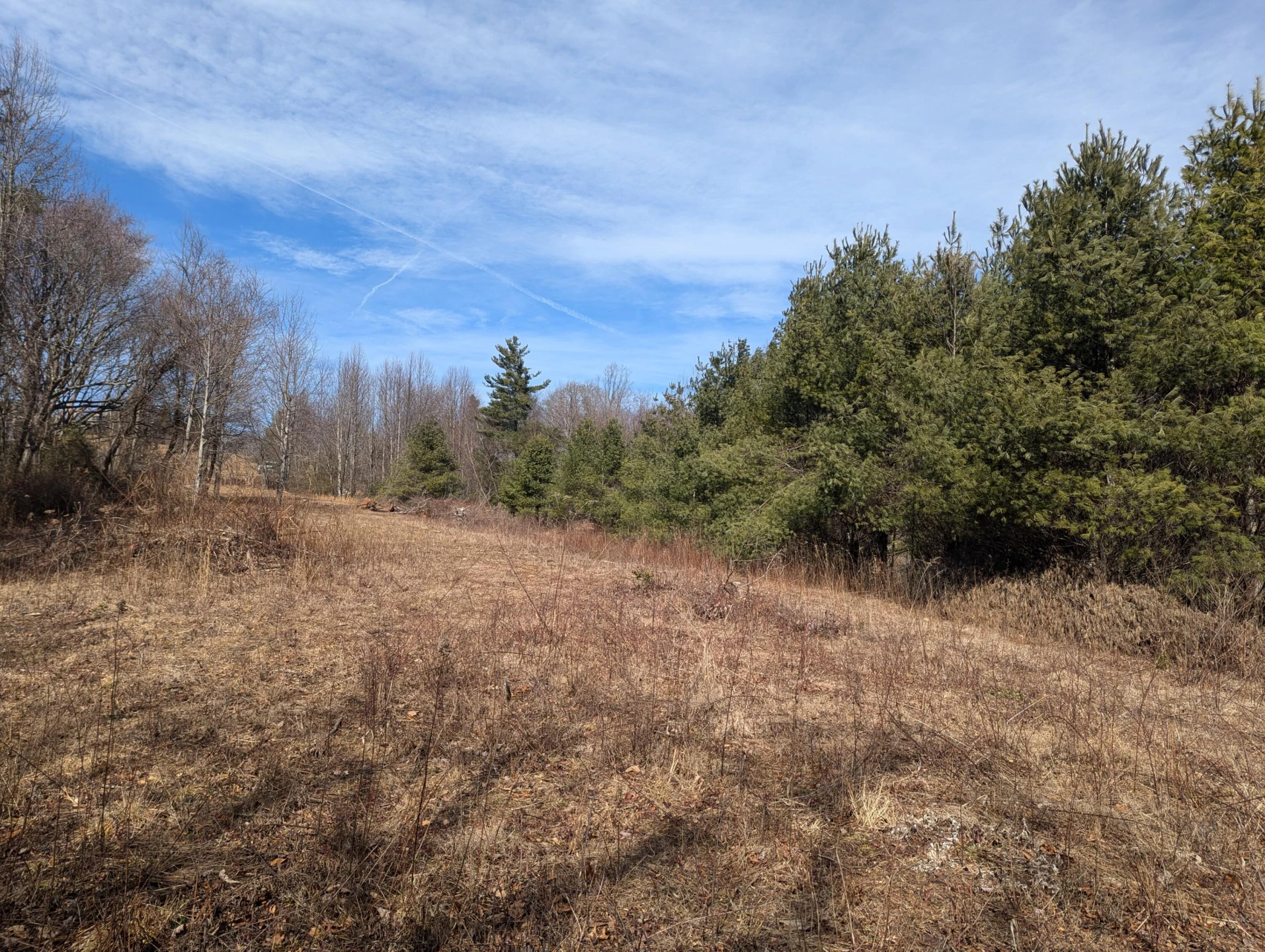 TBD Continental DR - Photo 8