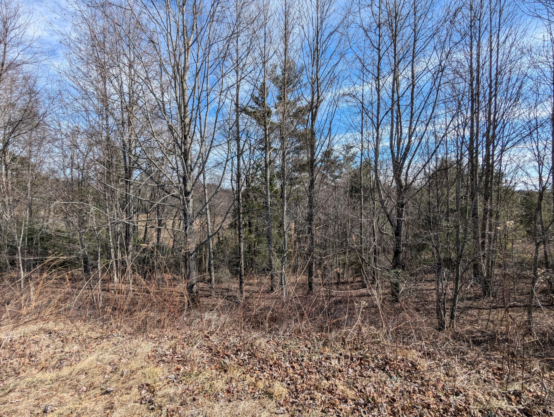 TBD Continental DR - Photo 9