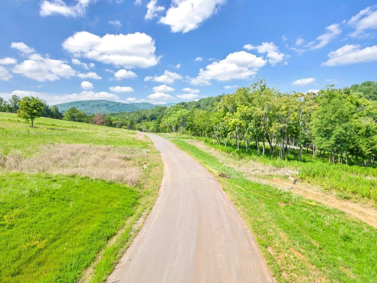 Lot 10 Springsteen CIR - Photo 11
