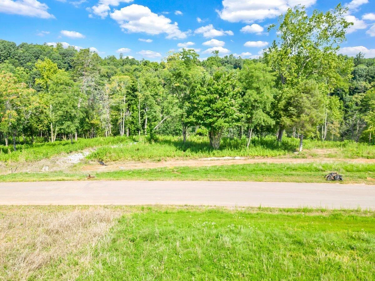 Lot 10 Springsteen CIR - Photo 12
