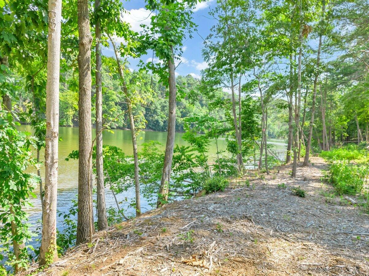 Lot 10 Springsteen CIR - Photo 14