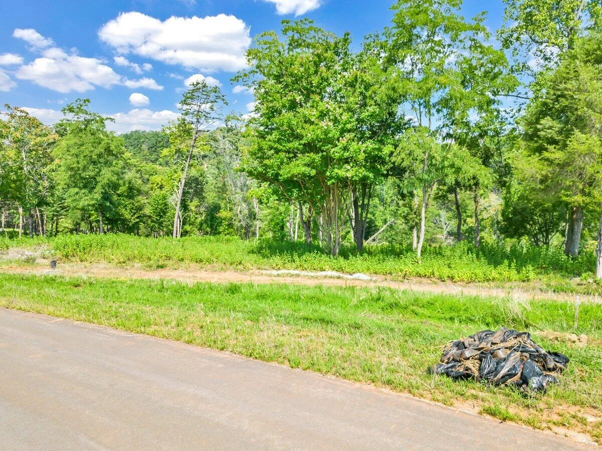 Lot 10 Springsteen CIR - Photo 2