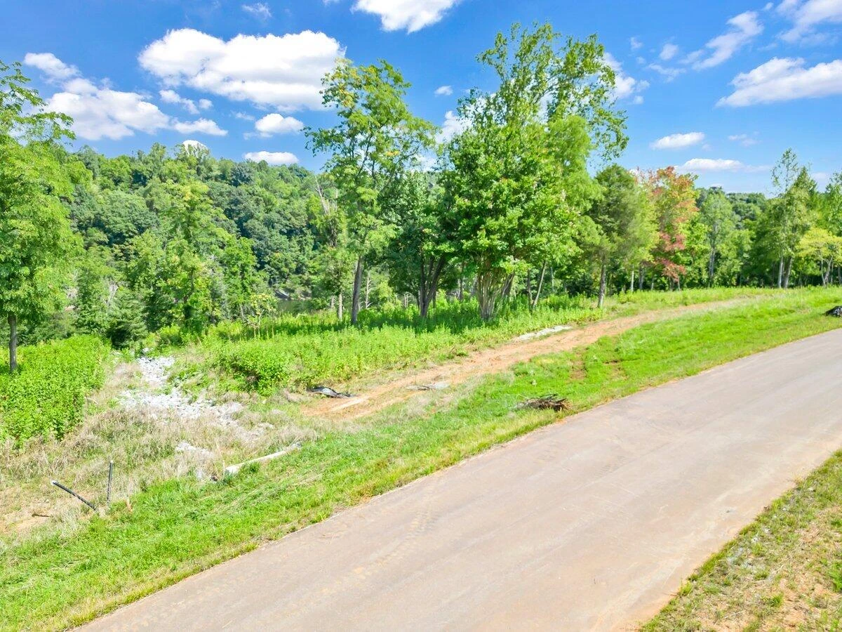 Lot 10 Springsteen CIR - Photo 3