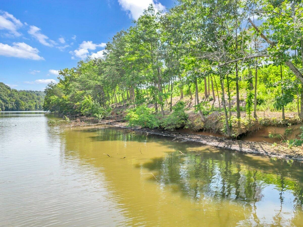 Lot 10 Springsteen CIR - Photo 6