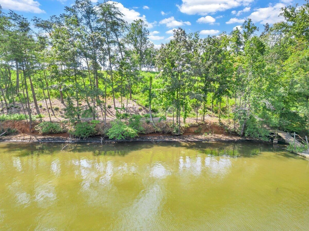 Lot 10 Springsteen CIR - Photo 8