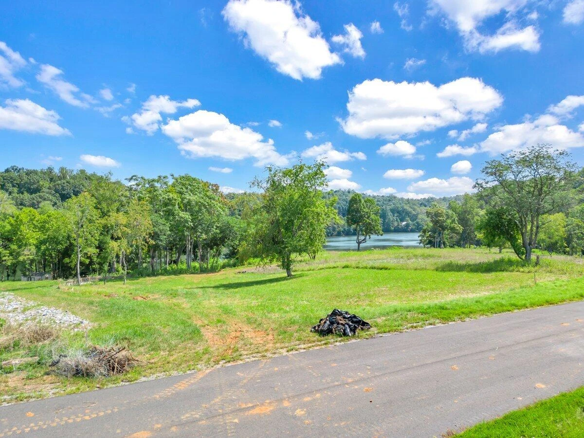 Lot 19 Springsteen CIR - Photo 2