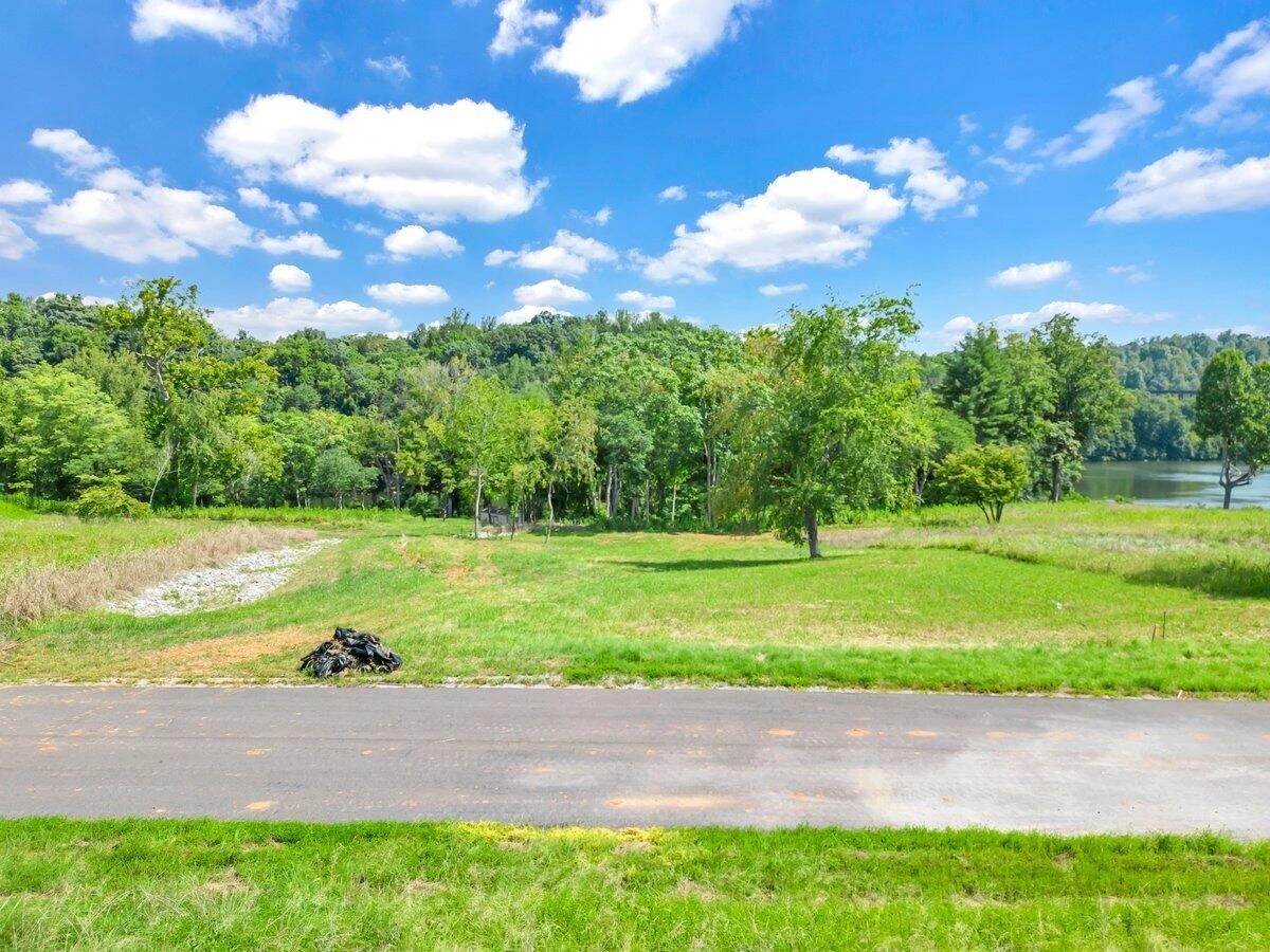 Lot 19 Springsteen CIR - Photo 4