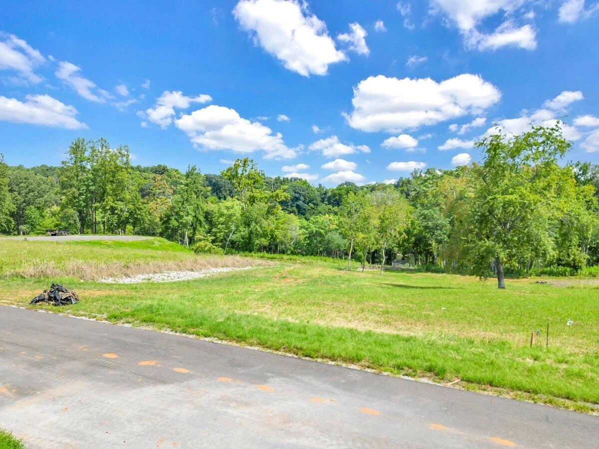 Lot 19 Springsteen CIR - Photo 5