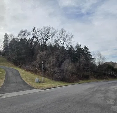 Lot 7 Frontier WAY, Fincastle, VA, 24090