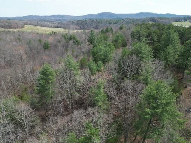 00 OLD FERRUM RD - Photo 2