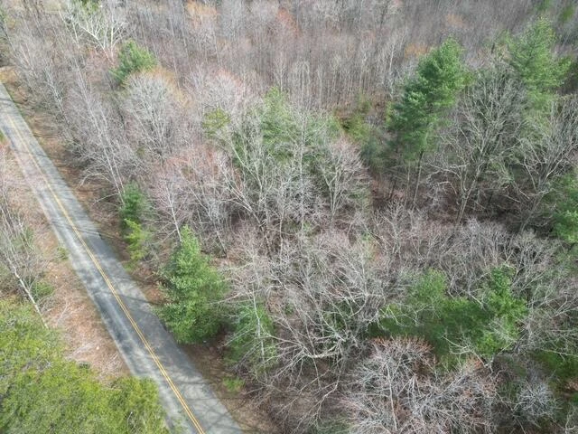 00 OLD FERRUM RD - Photo 4