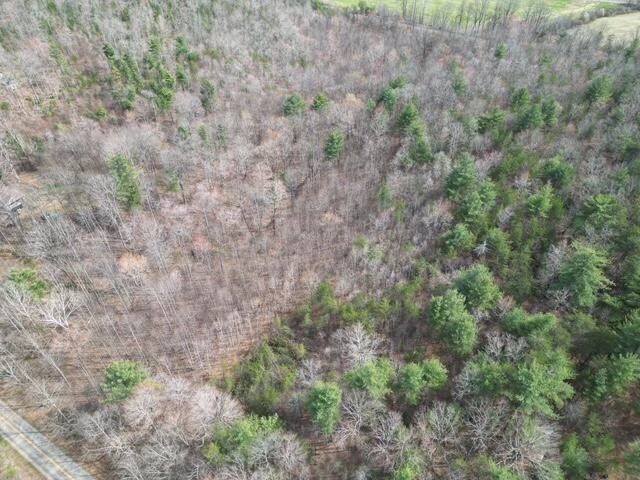 00 OLD FERRUM RD - Photo 5