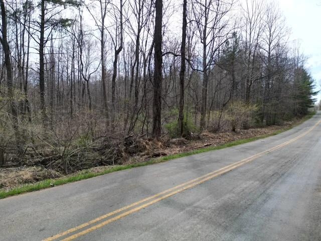 00 OLD FERRUM RD - Photo 6