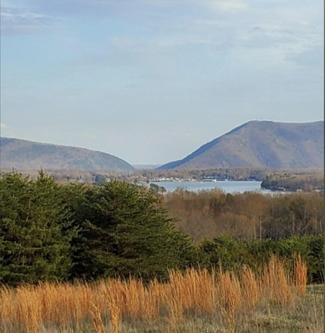 1158 Park Mountain TER - Photo 55