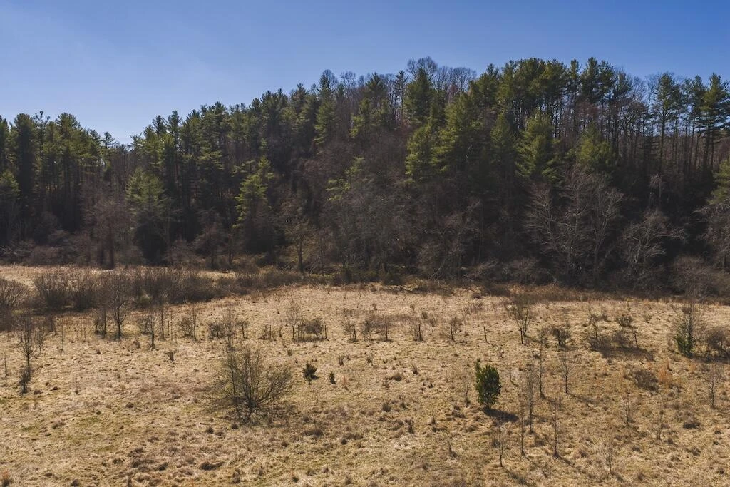 TBD Epperly Mill RD SW - Photo 13
