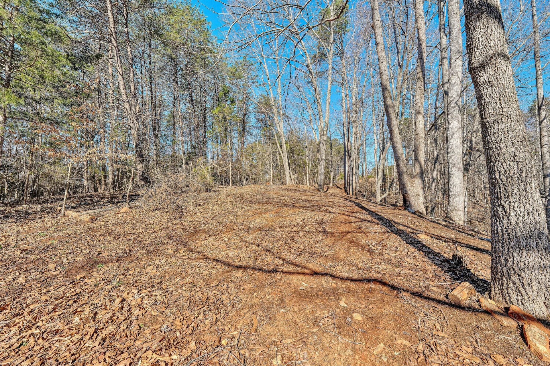 Lot 10 Bridgewater LN - Photo 26