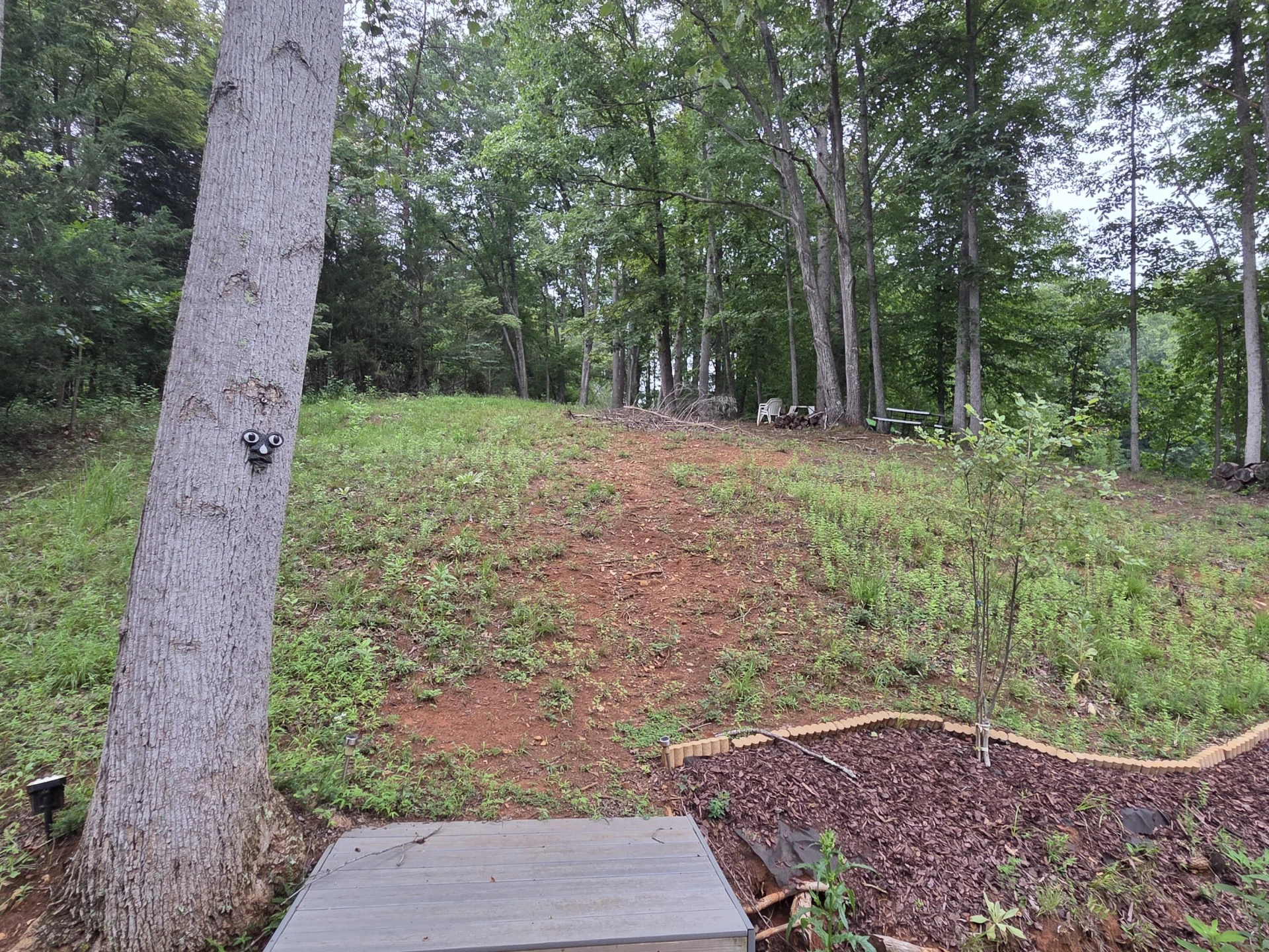 Lot 10 Bridgewater LN - Photo 37