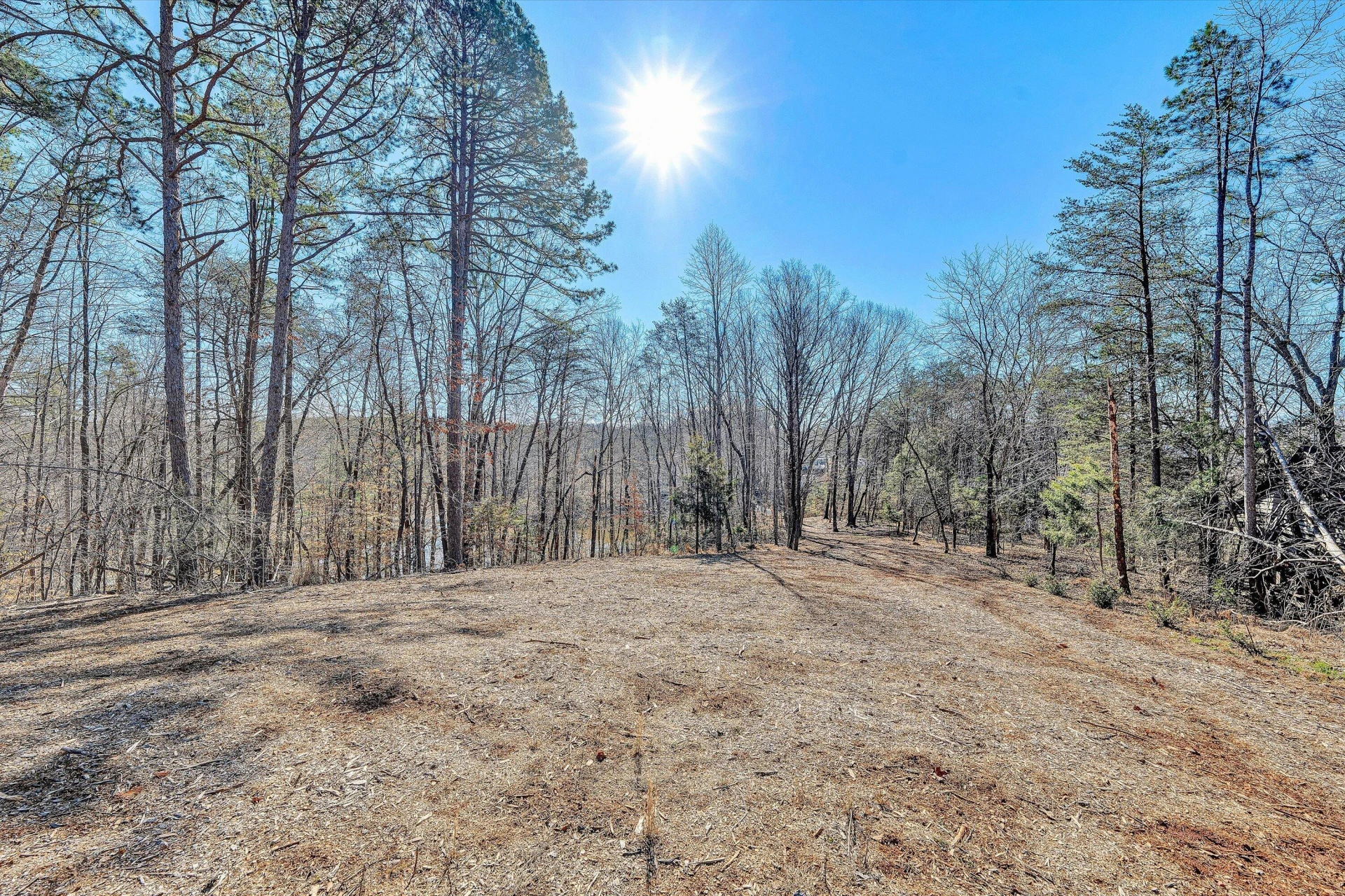 Lot 10 Bridgewater LN - Photo 14