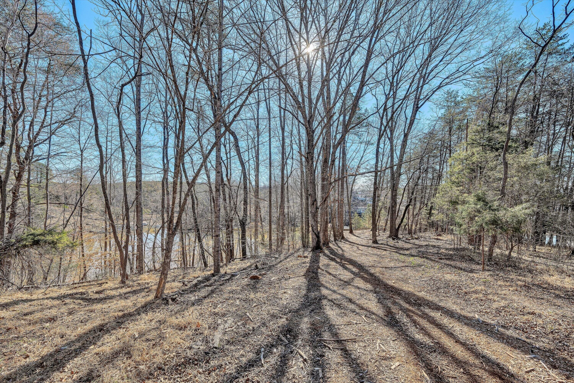 Lot 10 Bridgewater LN - Photo 15