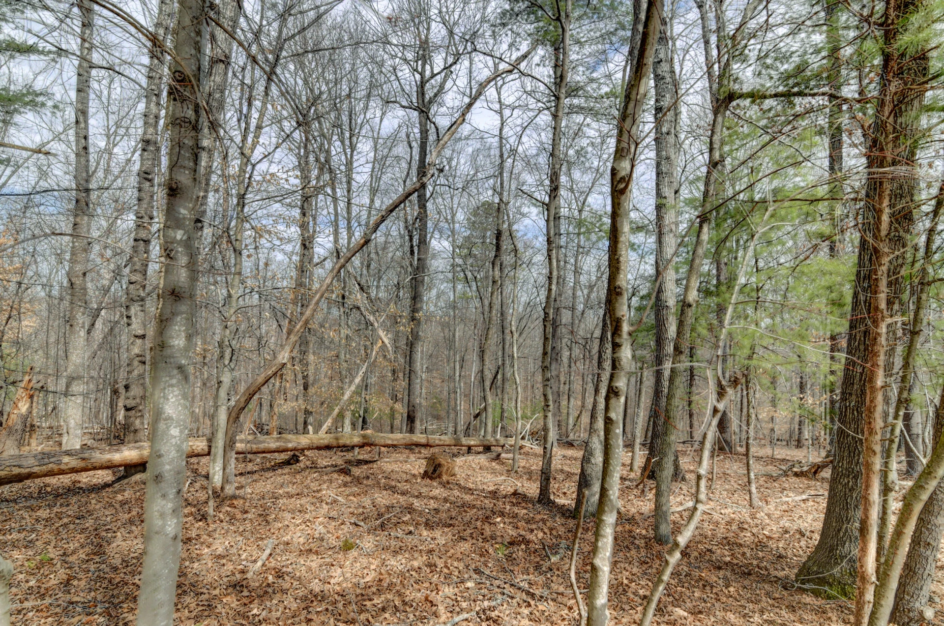 1304 Gills RD - Photo 57