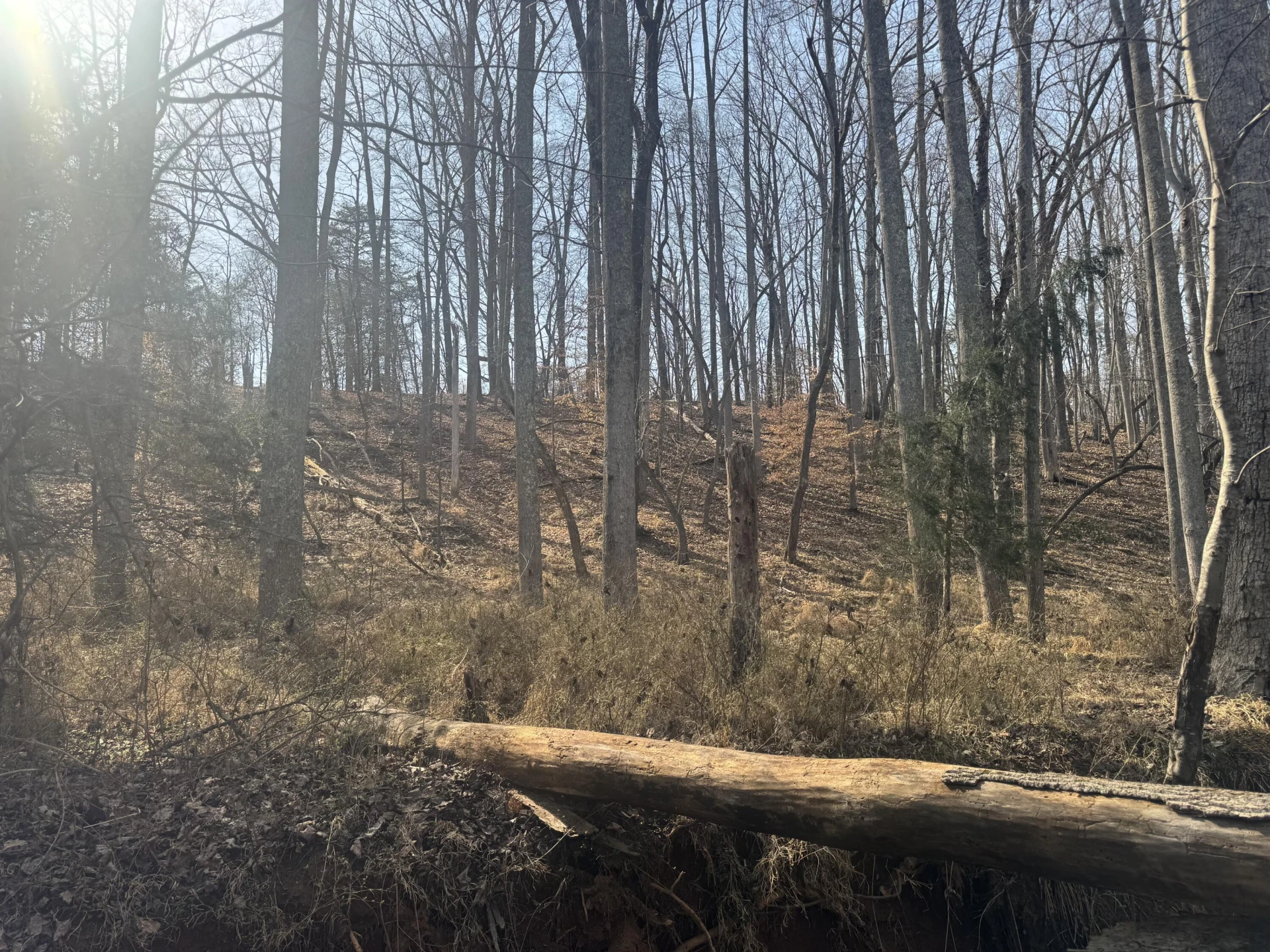 0 Northridge RD - Photo 3