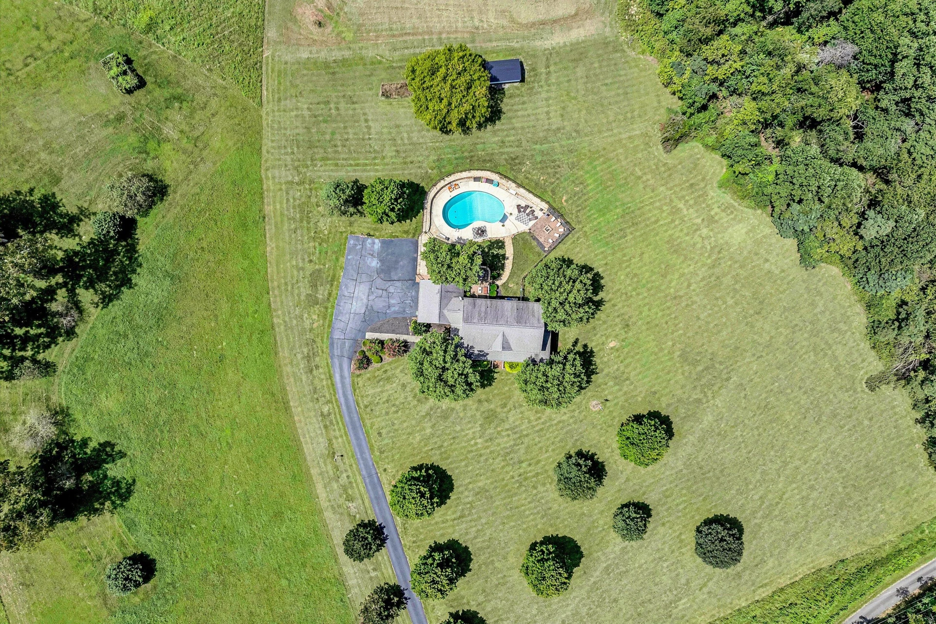 210 DAYTONA DR - Photo 8