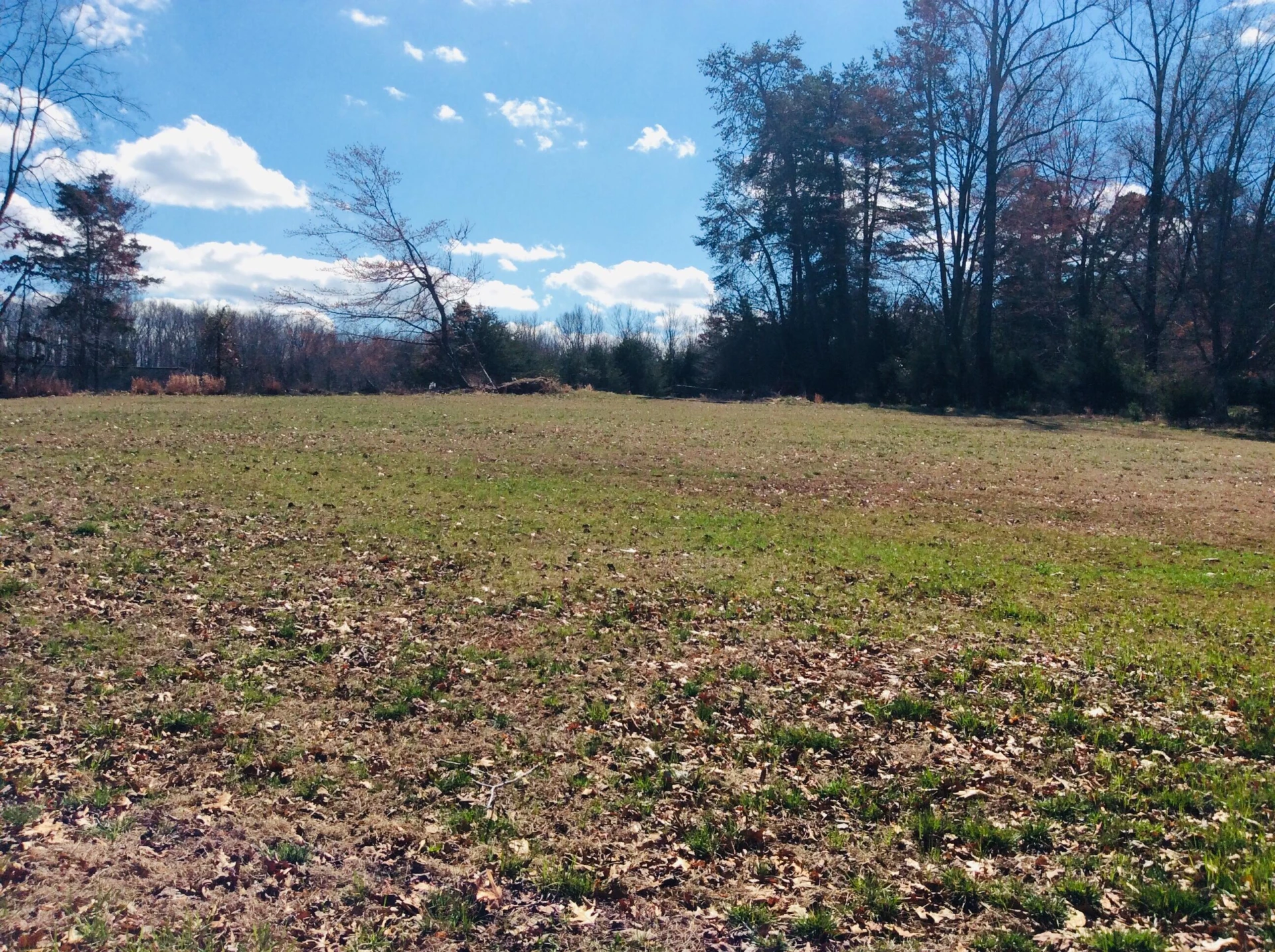 Lot 10 Highland Lake RD - Photo 21