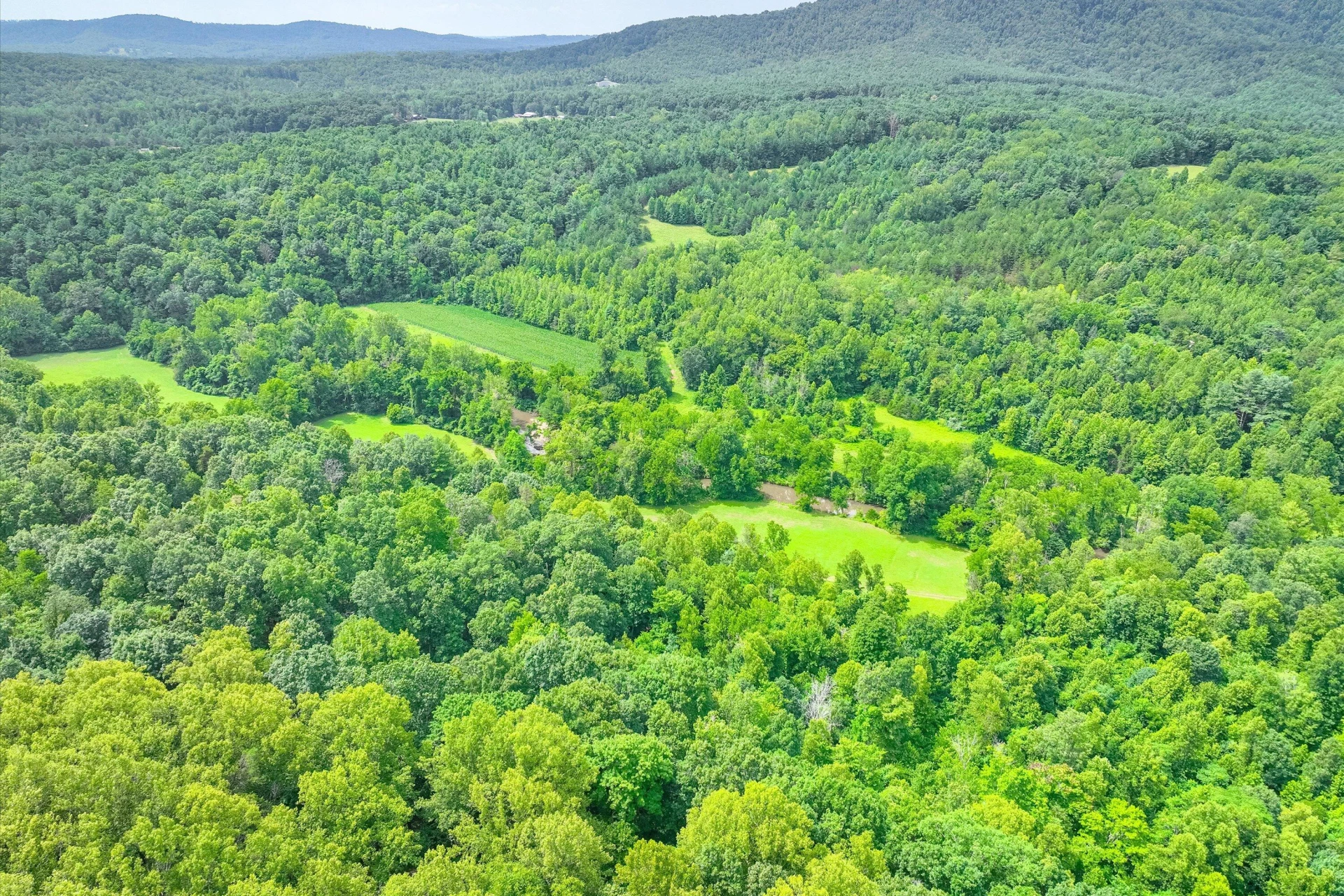 00 LELAND LN - Photo 4