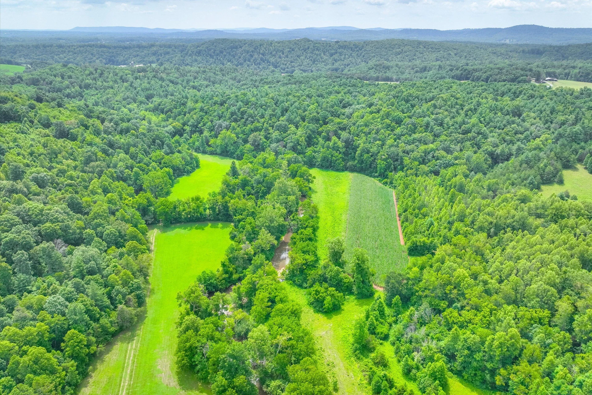 00 LELAND LN - Photo 10