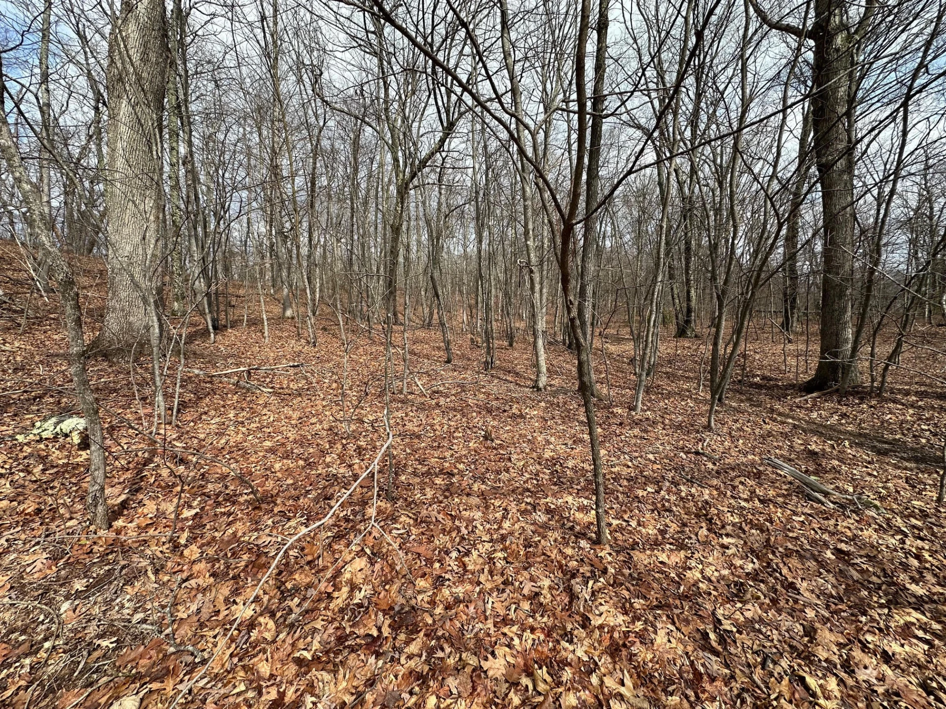 4001 Lignite RD - Photo 2