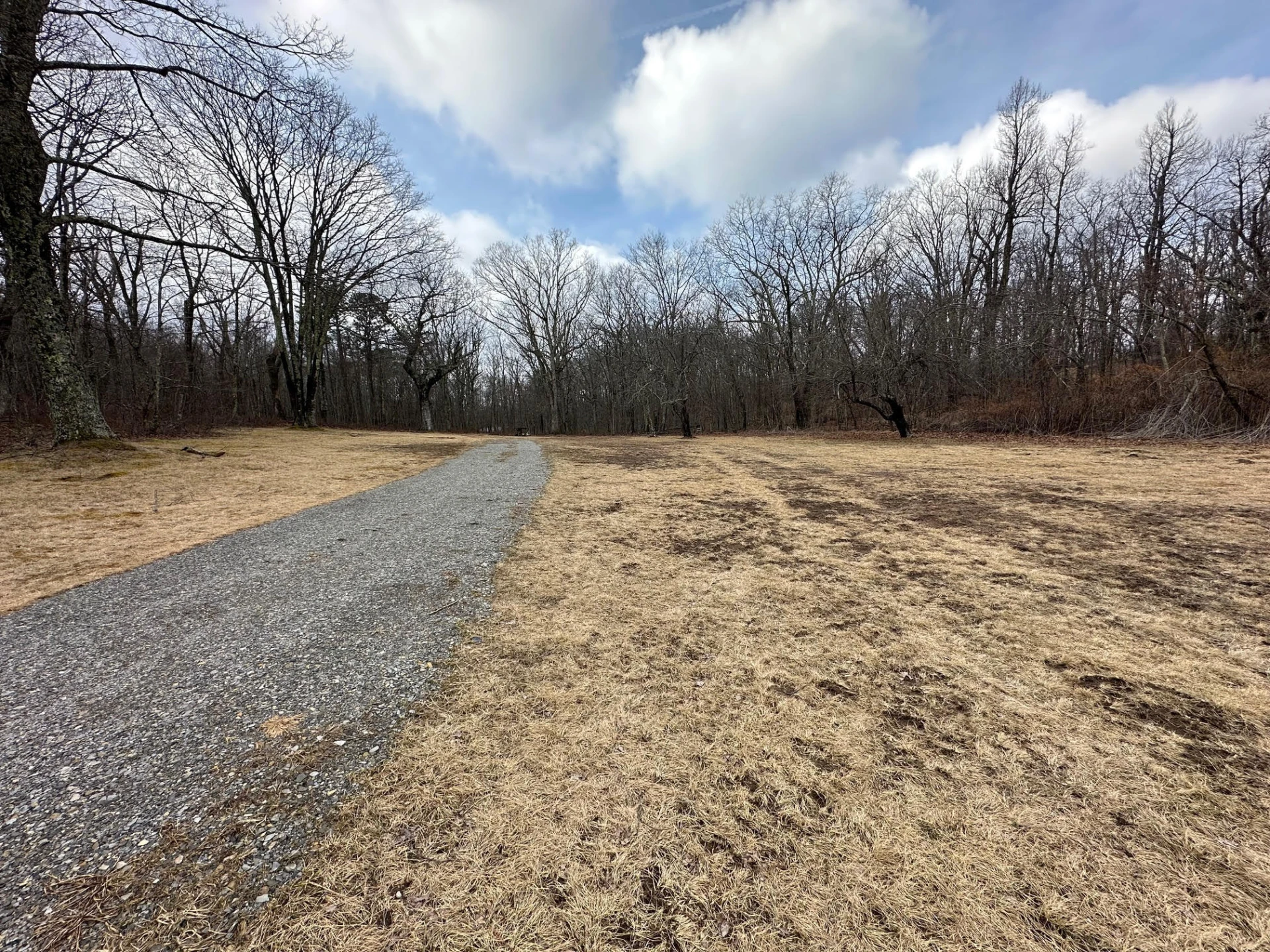 4001 Lignite RD - Photo 3