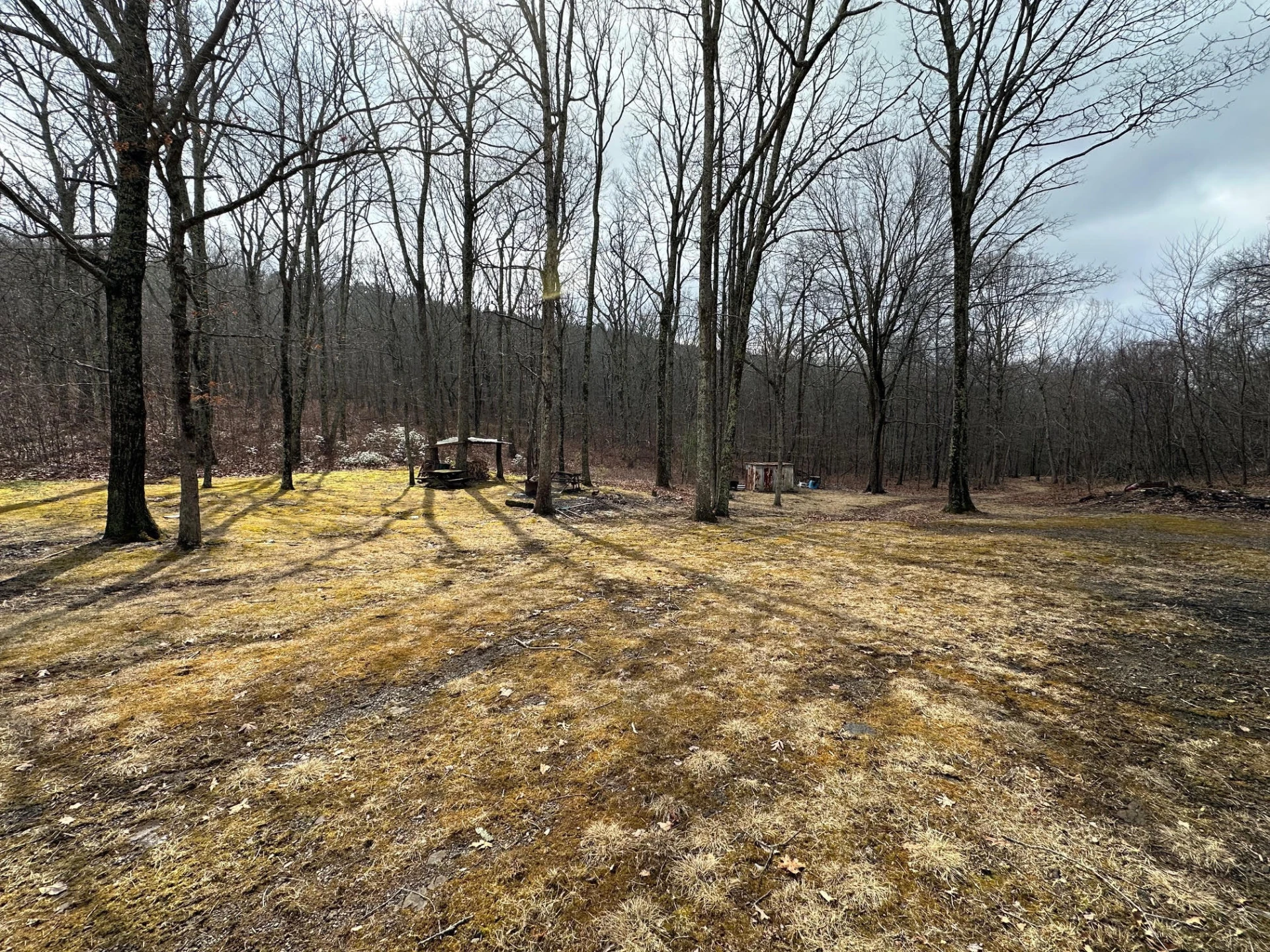 4001 Lignite RD - Photo 5