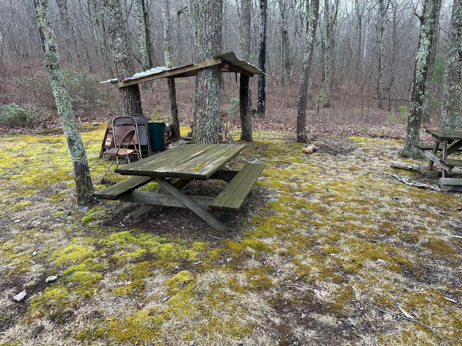 4001 Lignite RD - Photo 6